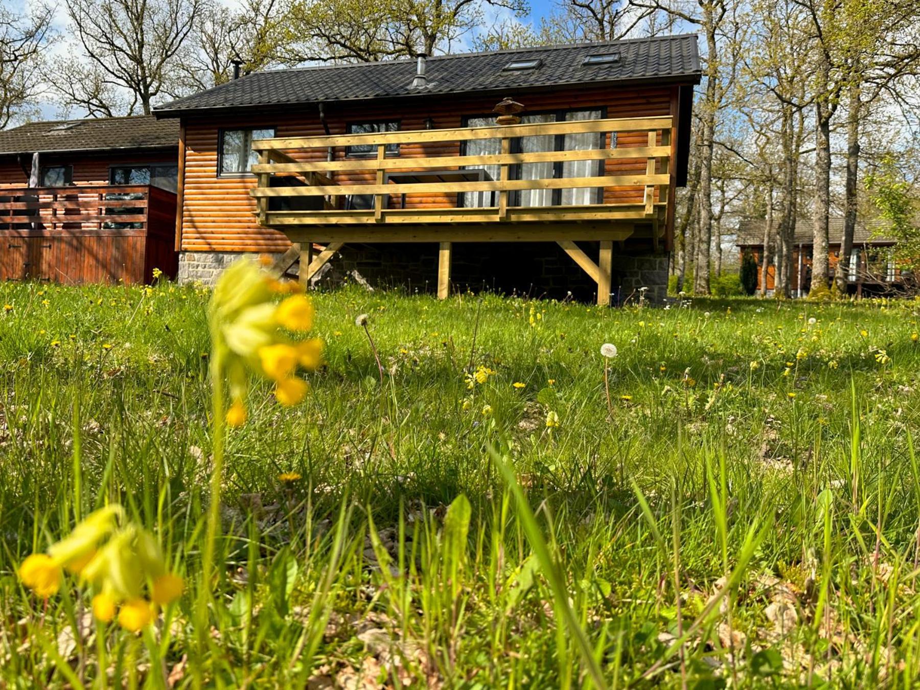 South Soul Cottage Somme-Leuze Exterior foto